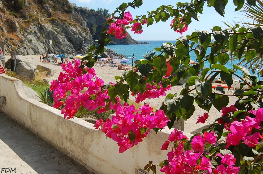 Calabria - scogliera di Copanello e grotte di San Gregorio